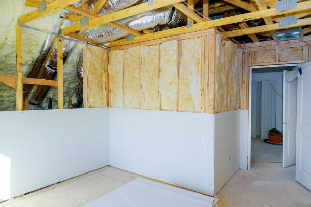 Best Cellulose Insulation in Hannahs Mill, GA