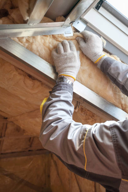 Best Commercial Insulation in Hannahs Mill, GA
