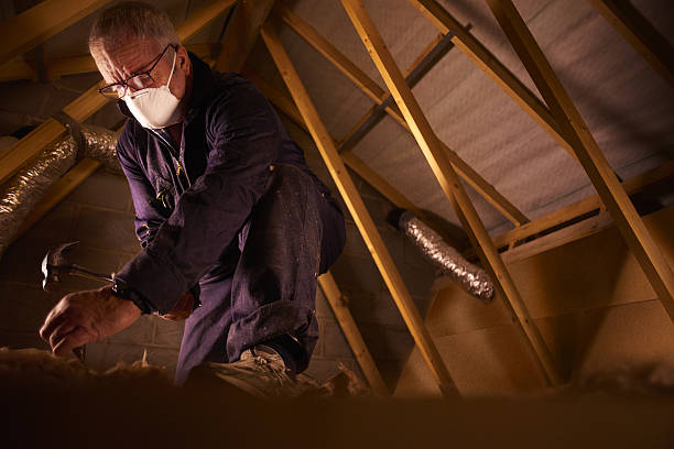 Professional Insulation Contractor in Hannahs Mill, GA
